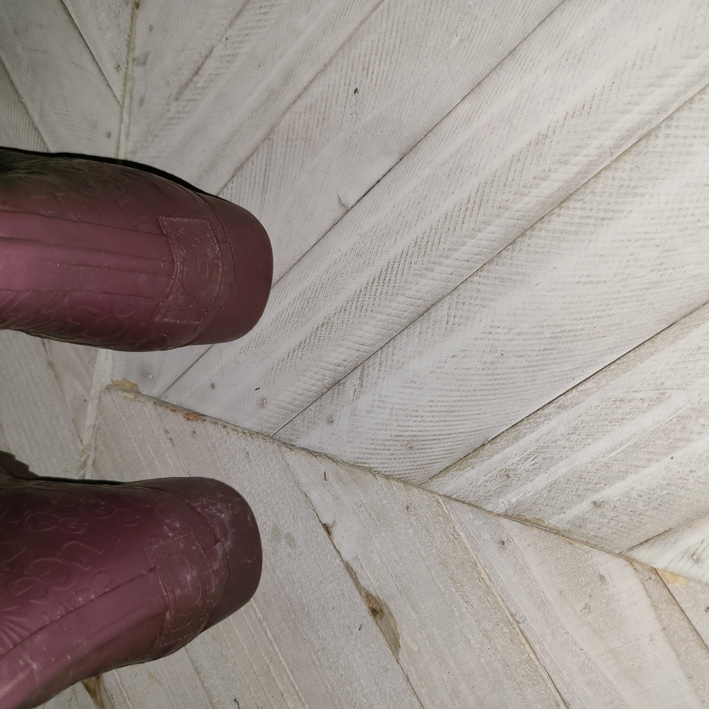 UGG Size 6 Lavender Rain Boots - Picture 7 of 8